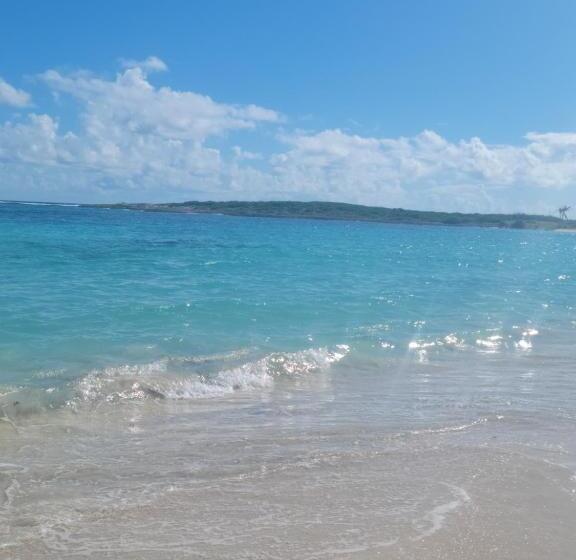 آپارتمان 1 خوابه با بالکن و چشمانداز دریا, Orient Bay Beach Studio