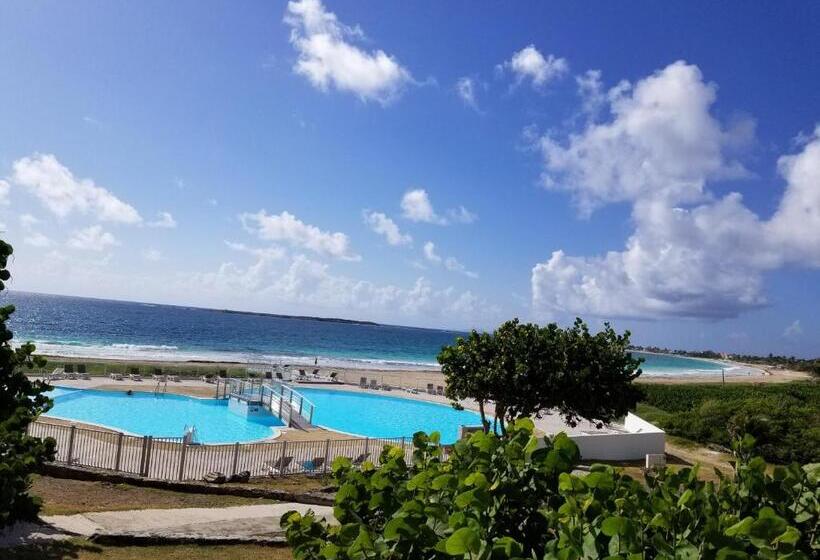 آپارتمان 1 خوابه با بالکن و چشمانداز دریا, Orient Bay Beach Studio