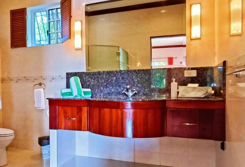 سوئیت با تخت بزرگ, Star View Boutique Resort