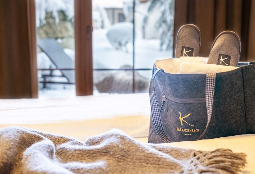 1침실 펜트하우스 아파트, Das Kaltenbach   Apart