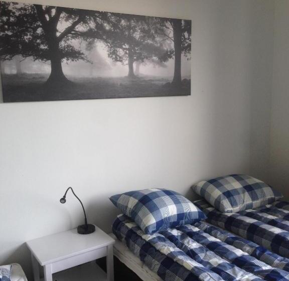 Estudio Estàndard, Kullan