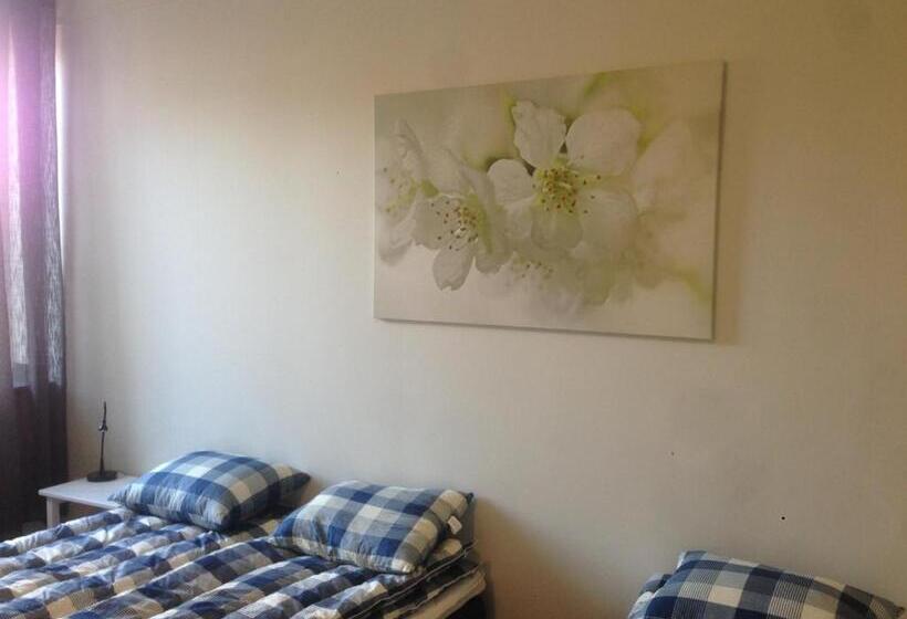 חדר סטודיו סטנדרד, Kullan