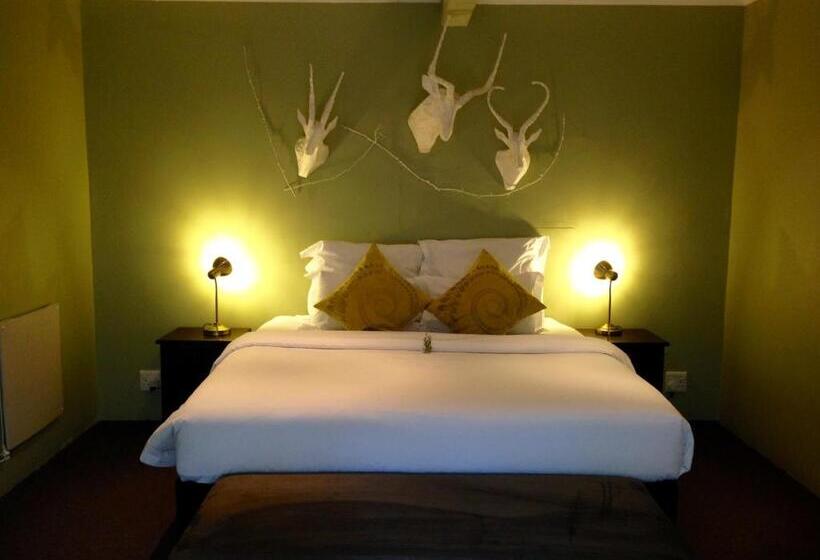 اتاق استاندارد با تخت بزرگ, Lucky Bean Guesthouse