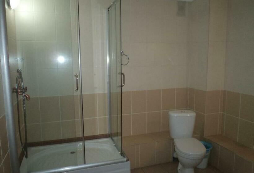 اتاق استاندارد, Gostinyi Dvor Galirad