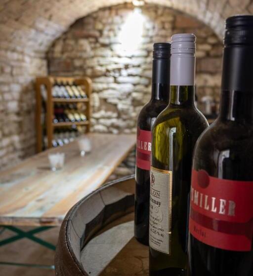 سوئیت با تخت بزرگ, Pension Max Valtice