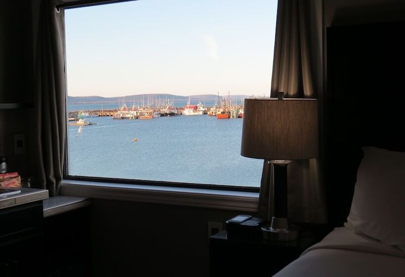 高级套房带海景, Dockside Suites