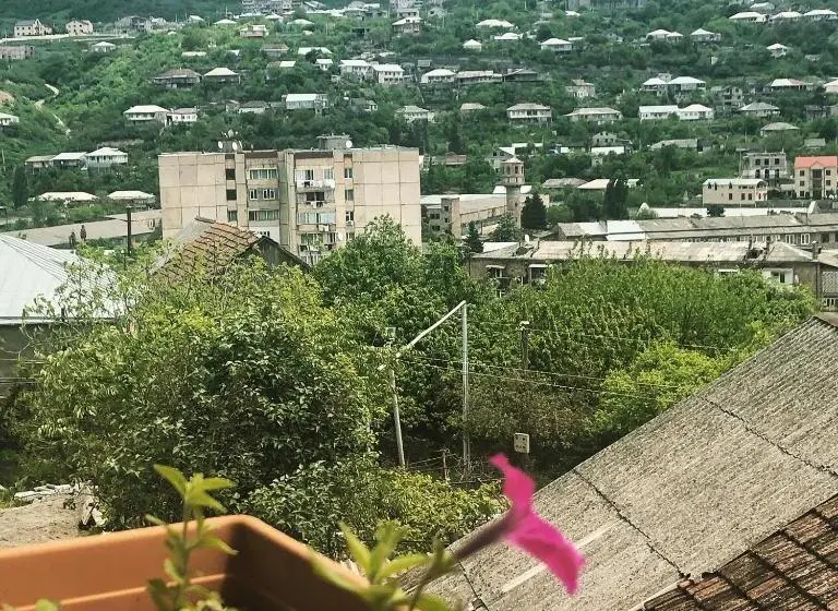 خانه 1 خوابه, Guest House Anahit Ijevan