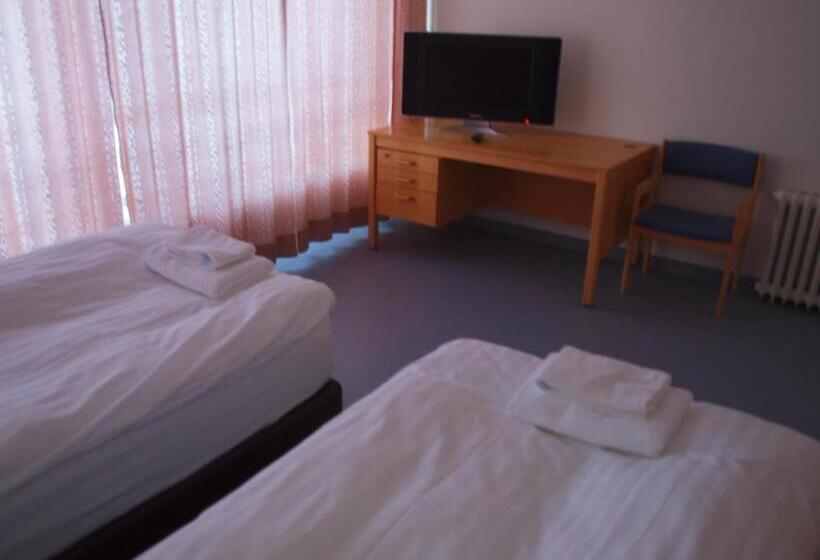 استودیوی استاندارد, The Nest