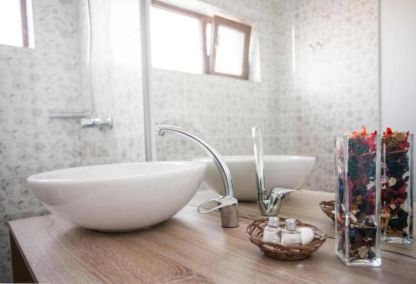 Номер Стандарт, Pensiunea Sada