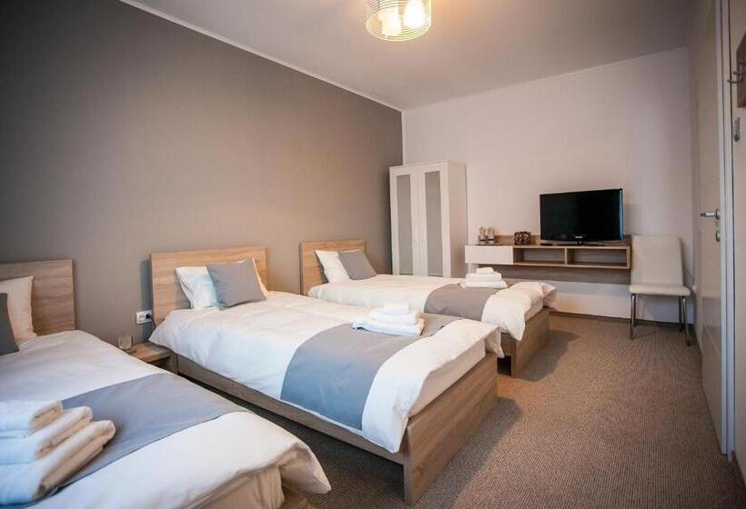 Номер Стандарт Трехместный, Pensiunea Sada