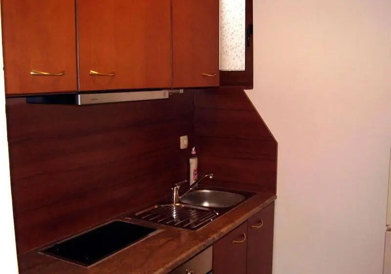 استودیوی استاندارد, Guesthouse Kiritsovi