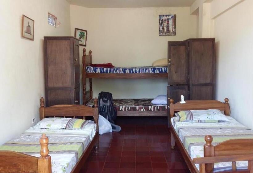 تختخواب در اتاق مشترک, Hummingbird Hostel