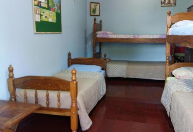تختخواب در اتاق مشترک, Hummingbird Hostel