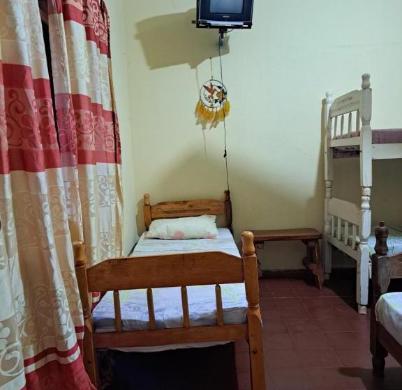 تختخواب در اتاق مشترک, Hummingbird Hostel