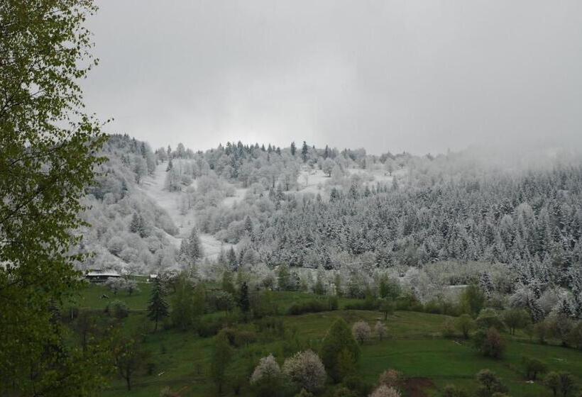 شاليه غرفة نوم واحدة, Kraevyd