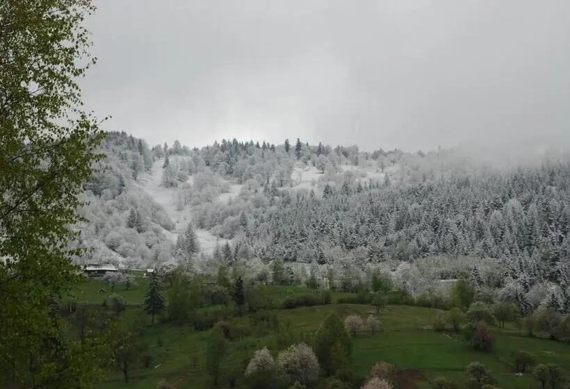 Mökki 1 Makuuhuone, Kraevyd