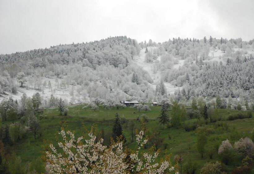 شاليه غرفة نوم واحدة, Kraevyd