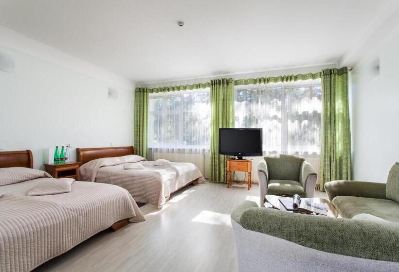 اتاق خانوادگی, Mineraliniai Apartamentai