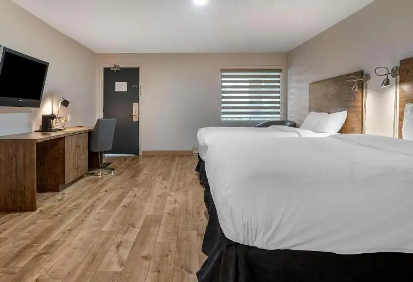 Standard-huone 2 Parivuodetta, Dannys Hotel Suites; Surestay Collection By Best Western