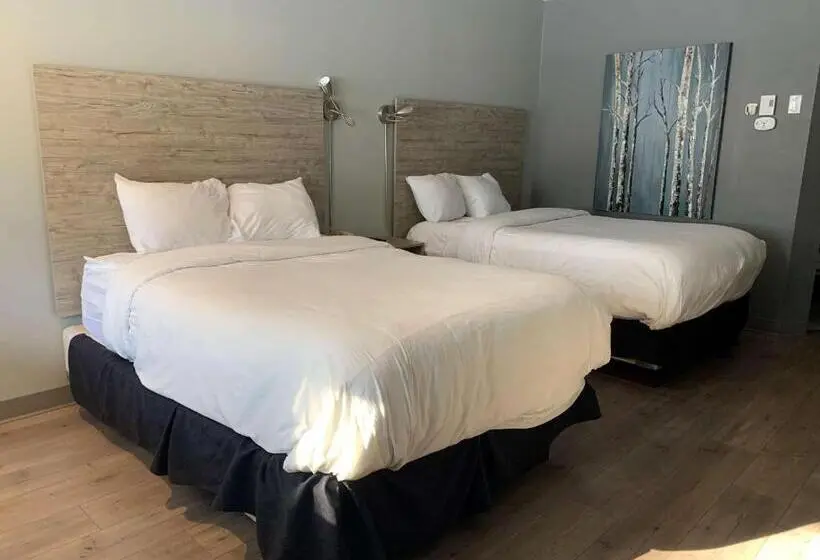 Standard-huone 2 Parivuodetta, Dannys Hotel Suites; Surestay Collection By Best Western