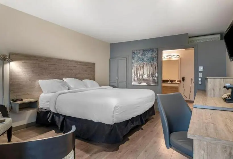 Standard-invahuone King-vuode, Dannys Hotel Suites; Surestay Collection By Best Western