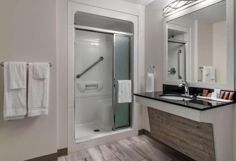 身障者適用キングサイズベッドルーム, Dannys Hotel Suites; Surestay Collection By Best Western