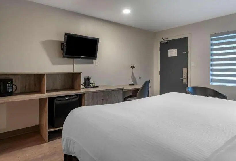 Standard-invahuone King-vuode, Dannys Hotel Suites; Surestay Collection By Best Western