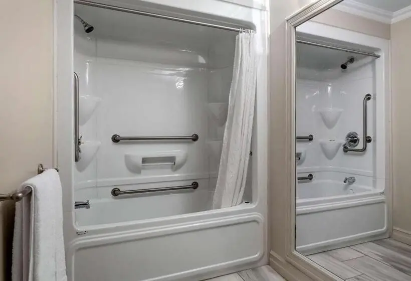 Sviitti Liikuntarajoitteisille, Dannys Hotel Suites; Surestay Collection By Best Western