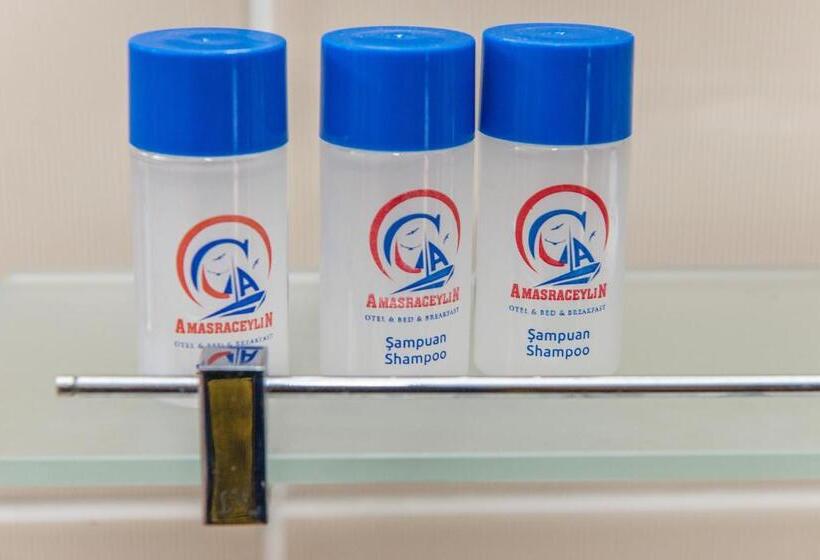 غرفة إقتصادية, Amasra Ceylin Otel