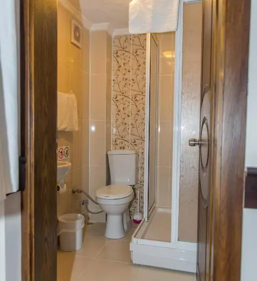 اتاق اکونومی, Amasra Ceylin Otel