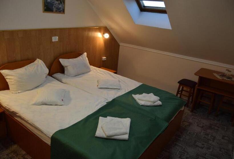 スタンダードルーム, Pension Larisa