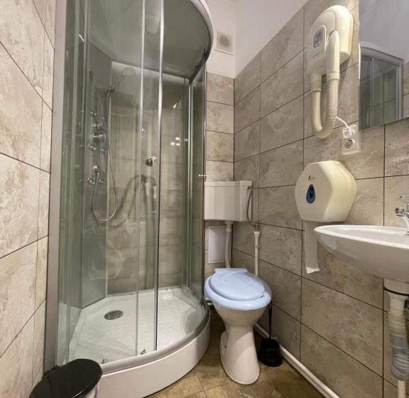 חדר סטנדרט יחיד, Pensiunea Relax