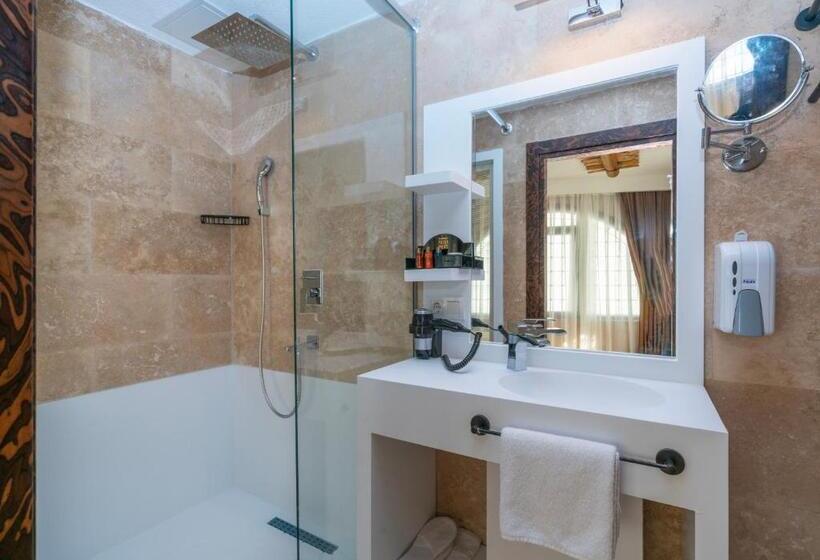 スタンダードルーム, Pasha Palace