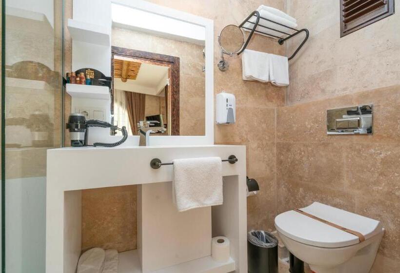 スタンダードルーム, Pasha Palace