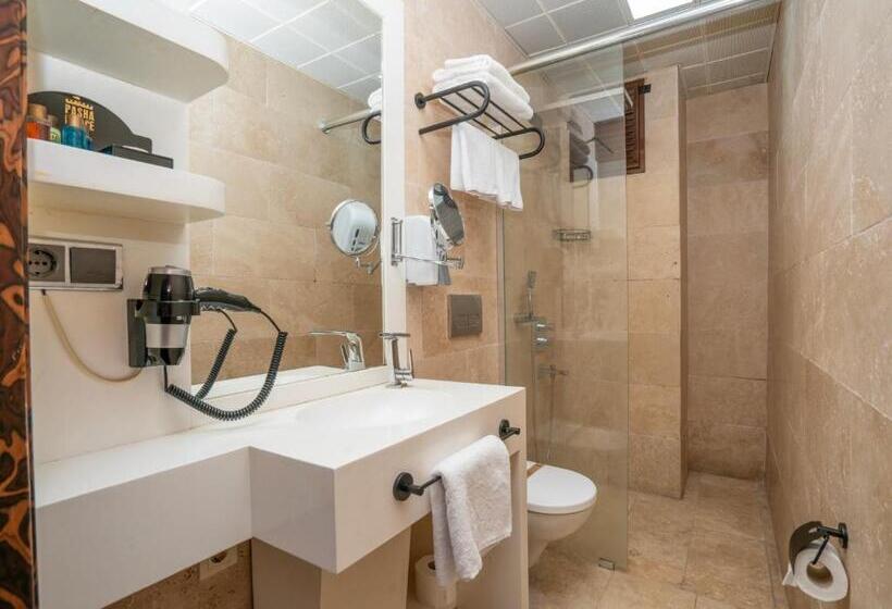 デラックスルーム, Pasha Palace