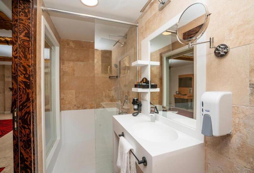 デラックスルーム, Pasha Palace