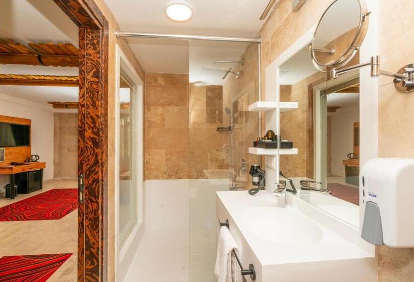 デラックスルーム, Pasha Palace