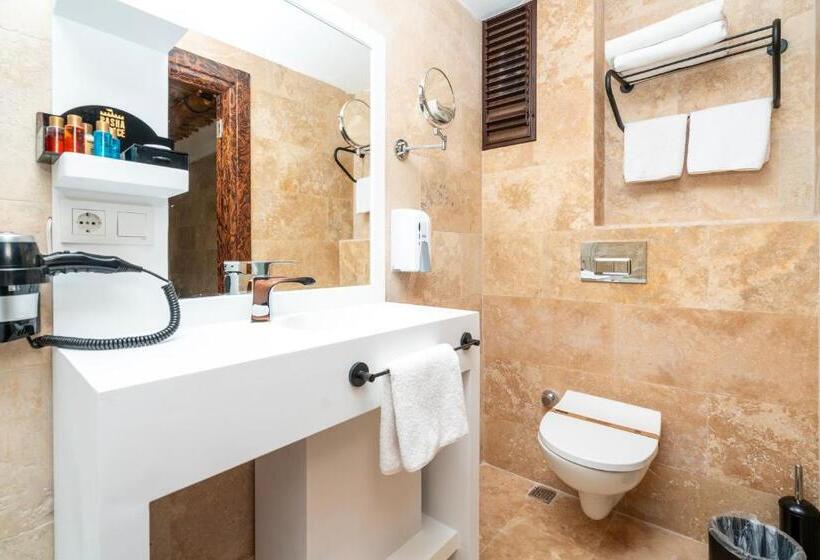 デラックスルーム, Pasha Palace