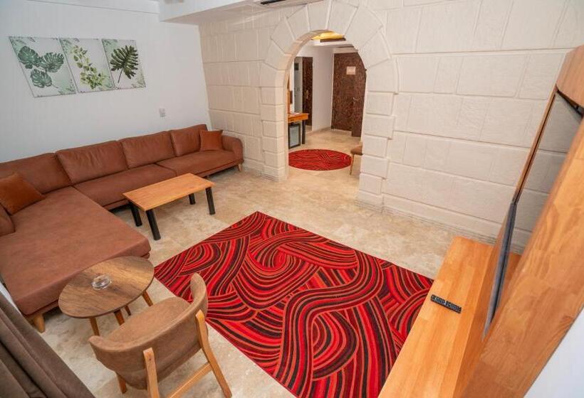 デラックスルーム, Pasha Palace