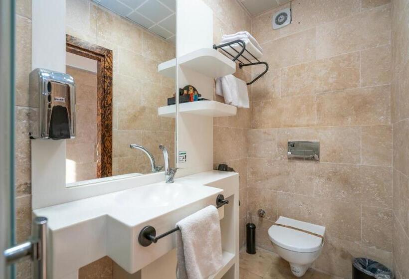 キングサイズベッドのスタンダードルーム, Pasha Palace