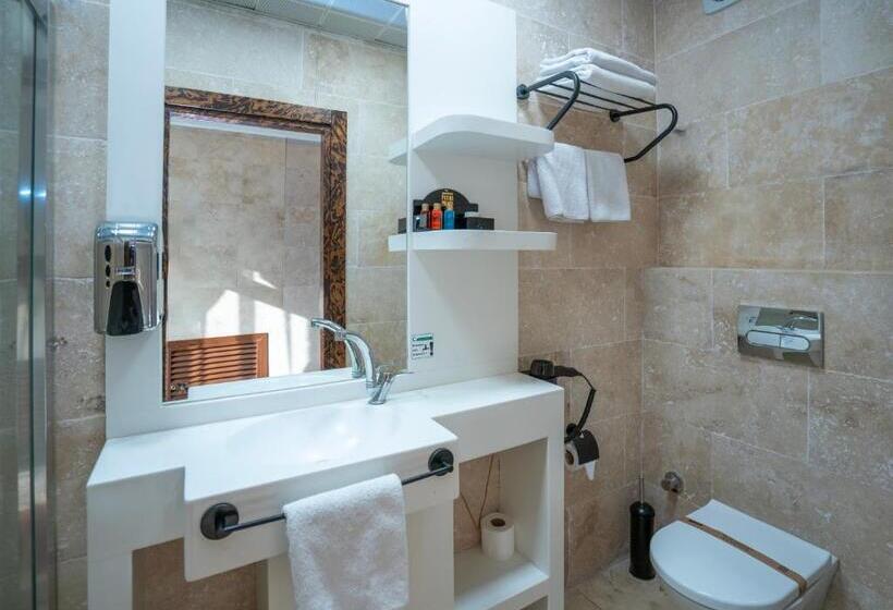 キングサイズベッドのスタンダードルーム, Pasha Palace