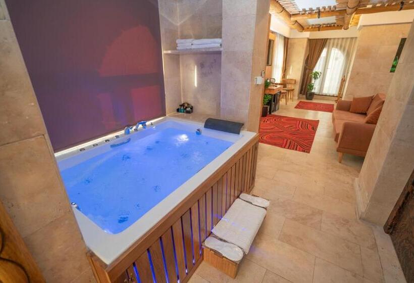 キングサイズベッドのスタンダードルーム, Pasha Palace