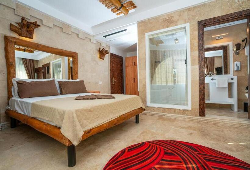 スタンダードルーム, Pasha Palace