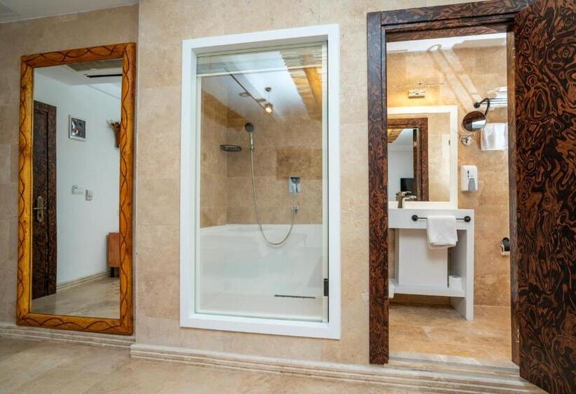 スタンダードルーム, Pasha Palace