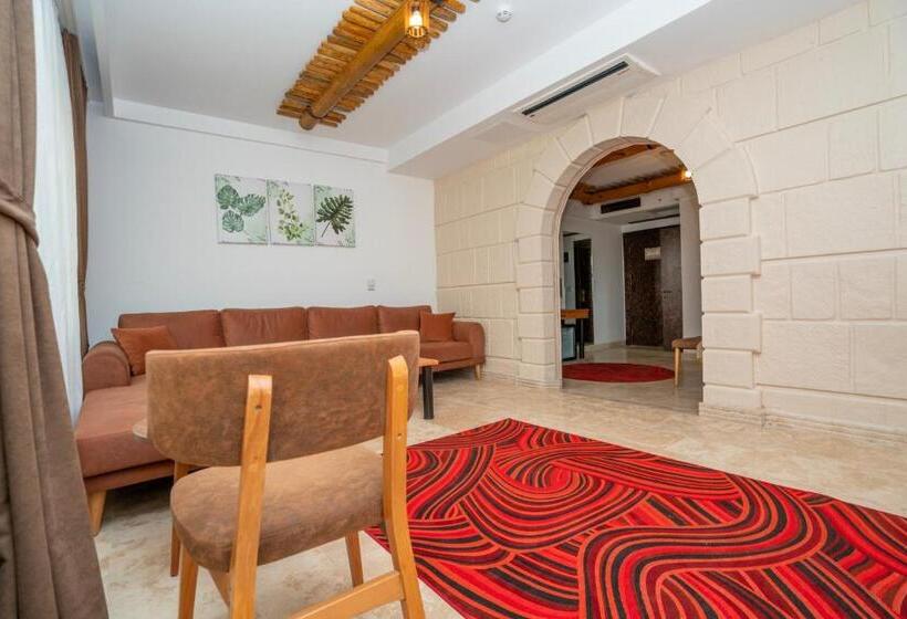 デラックスルーム, Pasha Palace