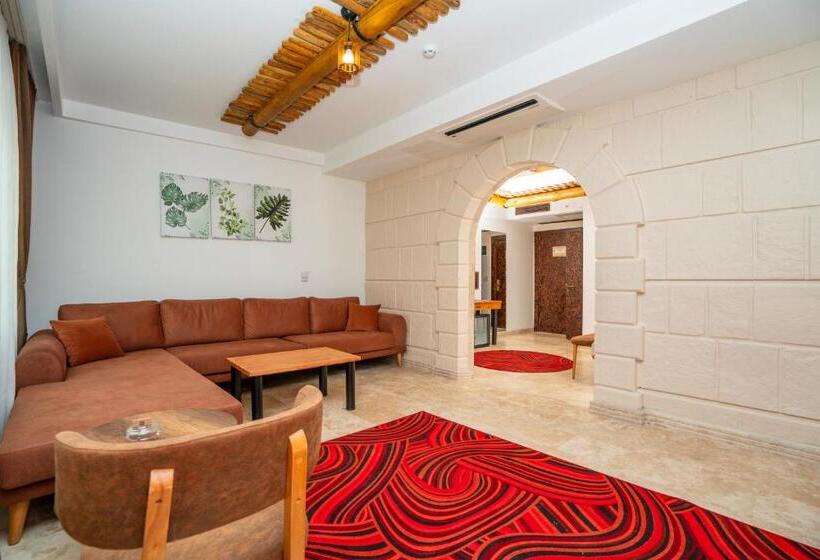 デラックスルーム, Pasha Palace