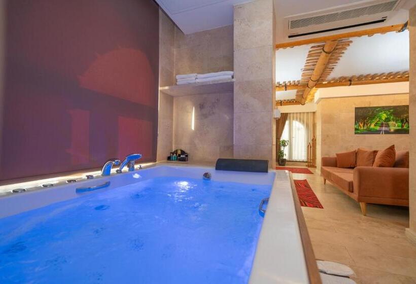 キングサイズベッドのスタンダードルーム, Pasha Palace