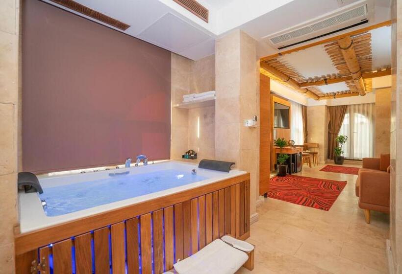 キングサイズベッドのスタンダードルーム, Pasha Palace