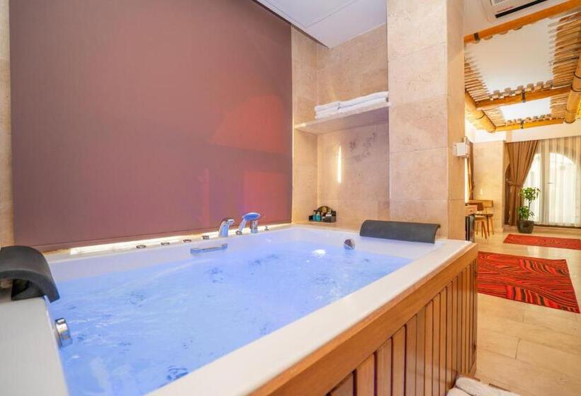 キングサイズベッドのスタンダードルーム, Pasha Palace