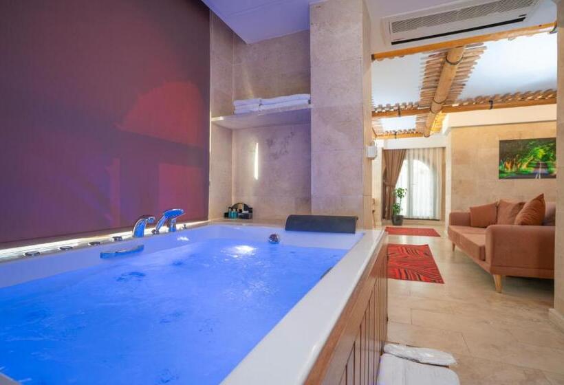 キングサイズベッドのスタンダードルーム, Pasha Palace